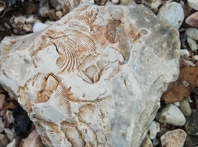 Biancofiore Frühstückspension 3*