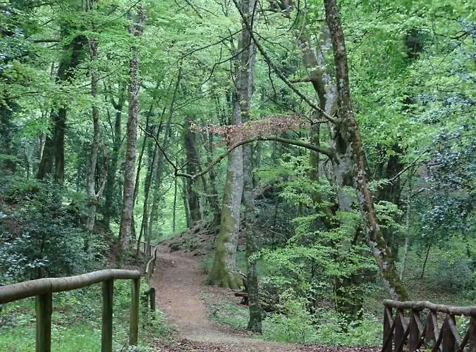 Frühstückspension Biancofiore San Giovanni Rotondo