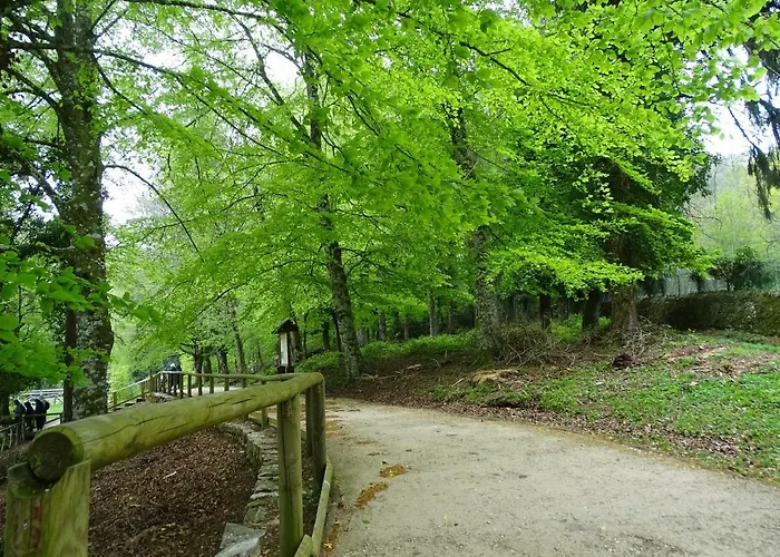 Bed and Breakfast Biancofiore